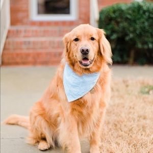 Meet your Posher, Maggie